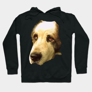 big sad dog Hoodie